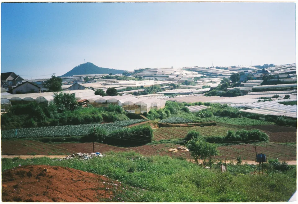 Khu sơ chế, đóng giỏ